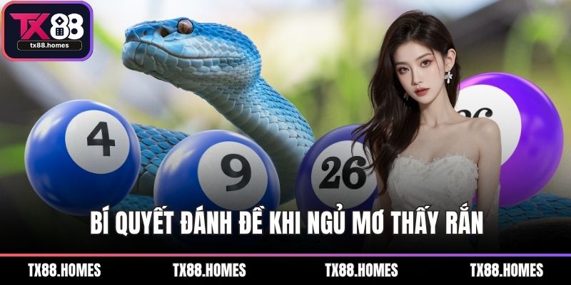 Bí quyết đánh đề khi ngủ mơ thấy rắn
