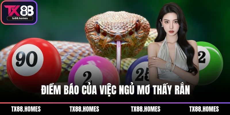 Điềm báo của việc ngủ mơ thấy rắn