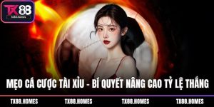Mẹo cá cược tài xỉu