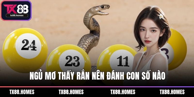 Ngủ mơ thấy rắn nên đánh con số nào